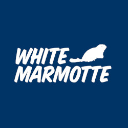 White Marmotte
